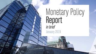 January 2019 Monetary Policy Report – In Brief