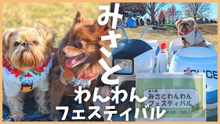 【犬イベント】チョコボも参戦！！三郷公園で初開催された「みさとわんわんフェスティバル」＆公園散策🐶