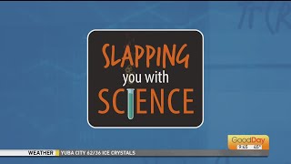 Slapping You With Science 11/30/2020