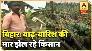 शिवहर: मुश्किल में किसान, बाढ़-बारिश में चौपट हुई केले की पूरी फसल | Bihar Flood| ABP News Hindi