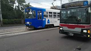 函館市電7000形　7002号車あんしん財団ラッピング広告車