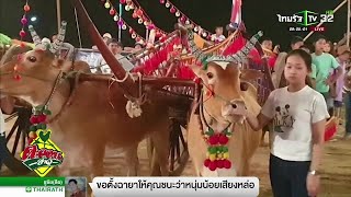 สุดมัน ! งานแข่งขัน วัวเทียมเกวียน กีฬาของลูกผู้ชาย | 25-01-62 | ตะลอนข่าว