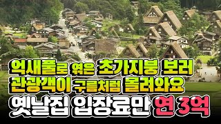 망해가던 산촌마을, 팔지 않고 지킨 전통가옥으로 150만명 관광객 불러오다!  일본 시라카와고 Shirakawago 갓쇼츠쿠리 | #힘내라한국농업 [2008]