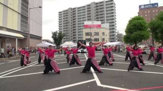 一宮七夕祭り２０１７　鳴子踊りイベント　【桜華乱舞】①　POWER