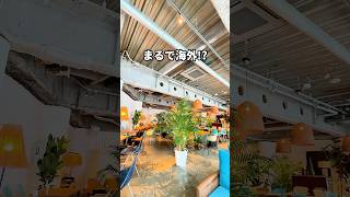 【穴場カフェ】まだオープンしたばかりで知られていない渋谷の巨大カフェ！#グルメ #カフェ #youtubeshorts