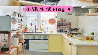 裸辞东北小镇3w买房，0社交不谈恋爱不上班也不躺平的春日vlog