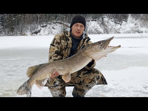 Сибирь рыбалка трофейная