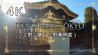 4K【上野公園】【上野東照宮】ぶらぶら散歩 uenopark tokyo japan