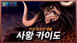 카이도의 강함과 기술의 모든 것 - ∥원피스 리뷰∥