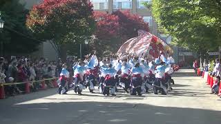 青森公立大学よさこいサークル影飛威Sea「波紋」弘大祭 2回目