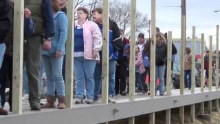 The Banks Polar Bear Dip Hamilton IN 2012.mp4