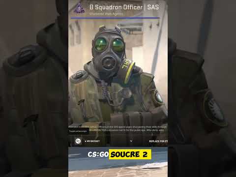 Agents In CS2 B Squadron Officer | SAS - YouTube