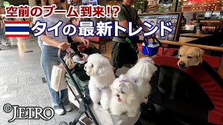 【タイ】 まるで日本？ 動物大好き！ ‐世界のライフスタイルシリーズ‐