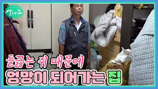 들끓는 쥐 때문에 엉망이 되어가는 집 MBN 220820 방송