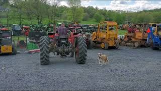 1977 MASSEY FERGUSON 165 For Sale