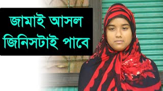 খাবার ও যত্ন ব্রয়লার মুরগির, ব্রয়লার মুরগির বাচ্চা পালনের সঠিক পদ্ধতি  সেরা কৌশল ১১৯