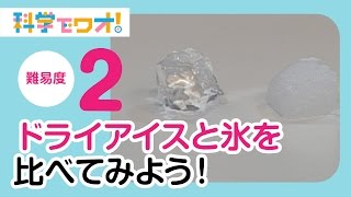 【自由研究】ドライアイスと氷の性質を比べてみよう！