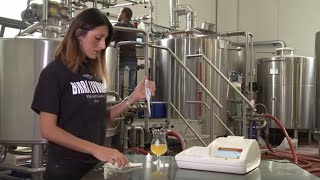 CDR BeerLab Beer, Wort and Water Analysis for Brewing Process Control