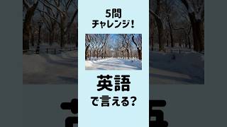 【これ全部英語で言える？】5問英会話｜寒い冬26～30 #MimiListening #英語リスニング #英語聞き流し