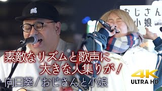 【 歌うま 】 素敵なリズムと歌声に大きな人集りが！ オリジナル曲「 向日葵 」\