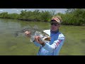 big speckled trout on florida space coast and irl clam update