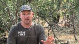 How to Make the Most of Your Small Deer Lease - Clark Wendlandt