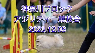 神奈川ブロックアジリティー競技会2023.12.09