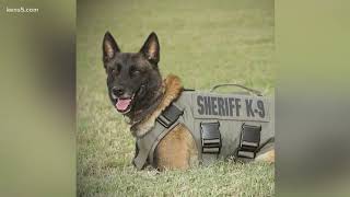 BCSO release new details in death of K-9 deputy