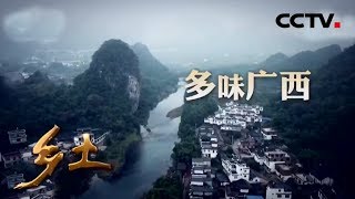 《乡土》 多味广西 走进广西的特色美食 20190704 | CCTV农业