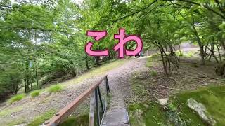 【いなべ市】鞍掛登山東口を散策する動画#鞍掛峠#三重県