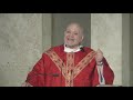 Homily of Father Carlos Martins - St. Jude Thaddeus