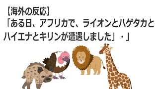 【海外の反応】「ある日、アフリカで、ライオンとハゲタカとハイエナとキリンが遭遇しました」そんな動画に対しての海外の反応。