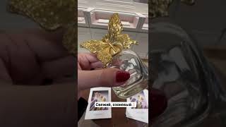 Aristocrazy parfum