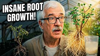 I Tested Rice Water on My Plants for 30 Days and THIS Happened!