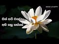 පිපෙනා මලකට මාලනී බුලත්සිංහල pipena malakata malani bulathsinhala