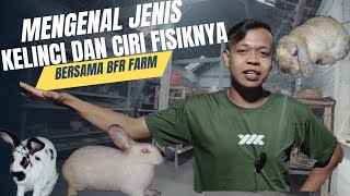 MENGENAL BERBAGAI JENIS KELINCI YANG ADA DI DUNIA❗️#flemishgiant #holland #netherlands #hyla #video