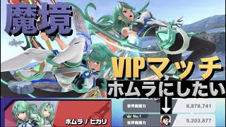 【スマブラSP】ホムラ/ヒカリを使ってVIPの魔境で戦闘！No.１世界戦闘力を目指して！DLC 新キャラ　実況