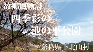 四季彩の池の平公園　奈良県下北山村