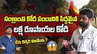 మా ఫాంలో కోళ్ళు.. రాబోయే సంక్రాంతికి రెడీ..!! | Sankranti Pandem Kollu Farming | iDream