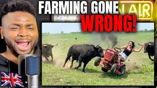 Farm Life FAILS - Hilarious Farm Animal & Tractor Fails | British Guy Reacts 🇬🇧
