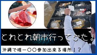 【知念漁港】とれとれ朝市行ってみた！【沖縄観光】#観光#とれとれ朝市#魚