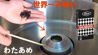 世界一不味い飴で綿あめ作った結果!? （ ; ; ）　PDS