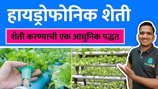 हायड्रोफोनिक शेती म्हणजे काय ? | haydroponik farming marathi