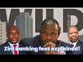 The Zimbabwe banking situation is INSANE: heres why!