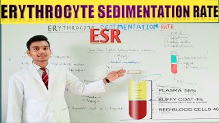 erythrocytes sedimentation rate (ESR or sed rate) test Hindi(detailed explanation)