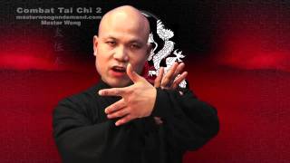 Tai chi combat tai chi chuan fight style use chen tai chi – lessons 4