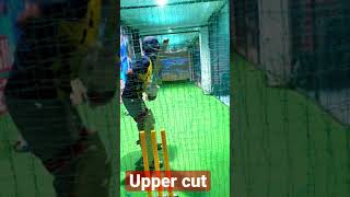 Playing Upper Cut On 140+ || #cricket #cricketer #short #youtubeshorts #shorts #viral #trending  ||