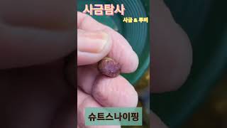 나홀로 사금탐사