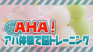 AHA！～アハ体験で脳トレーニング～No.49