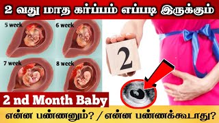 இரண்டாவது மாத கர்ப்பம் எப்படி இருக்க வேண்டும்? | Second month of pregnancy in Tamil | Pregnancy Tips